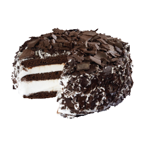 Ice Cream Cakes