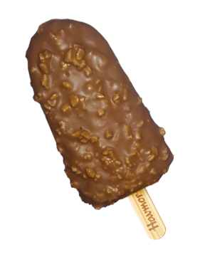 Crunchy Chocobar