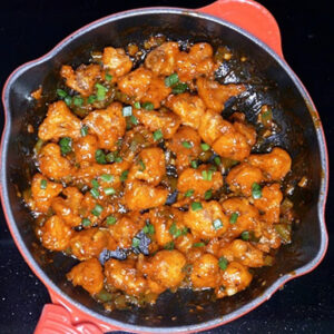 Fz – Gobi Manchurian