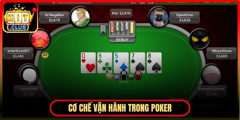 Thực tế  bàn chơi và cơ chế vận hành trong poker 